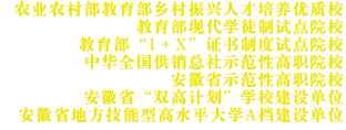 美博白菜网